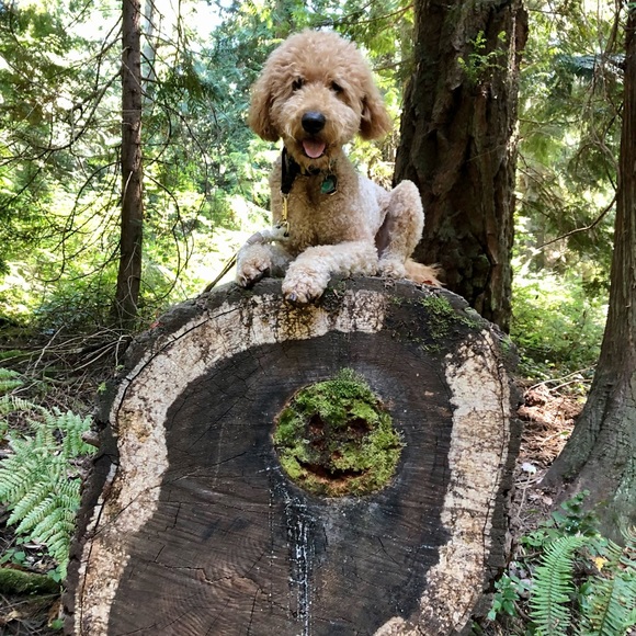 Meet your Posher, Leslie - Picture 2 of 7